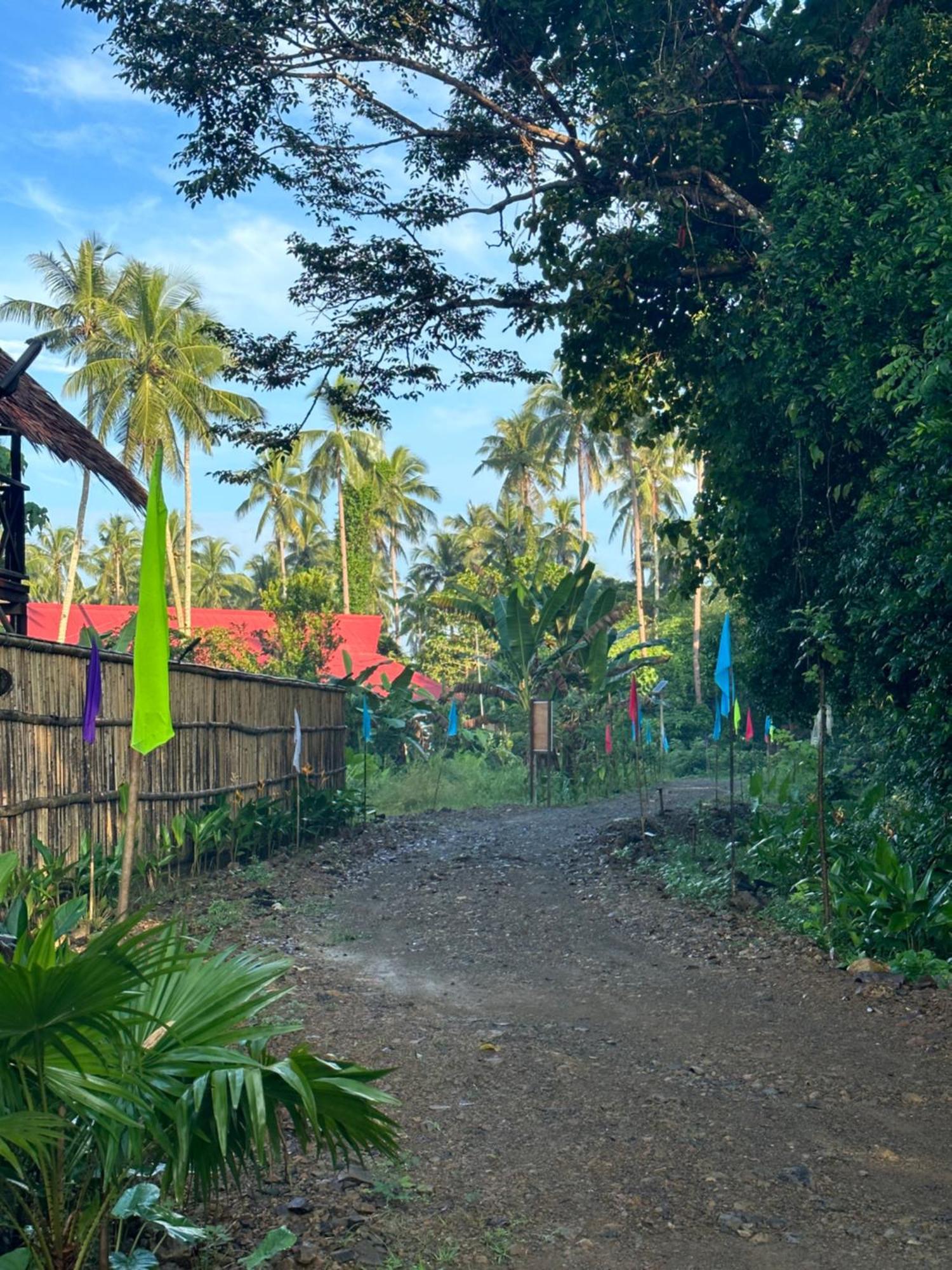 爱妮岛 Hiraya Camp Site - Free Use Of Scooter For Nipa Huts酒店 外观 照片